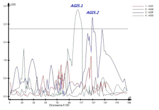 5번 염색체에서 탐색된 AGI 활성과 연관된 QTL
