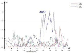 7번 염색체에서 탐색된 AGI 활성과 연관된 QTL