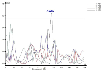 9번 염색체에서 탐색된 AGI 활성과 연관된 QTL