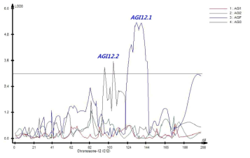 12번 염색체에서 탐색된 AGI 활성과 연관된 QTL