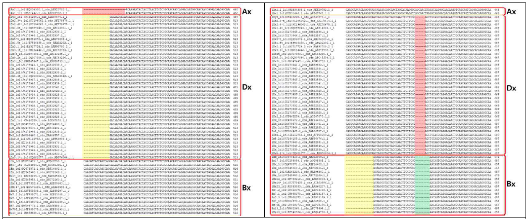 Classification of gluten genes (HMW-GS) based on sequence information