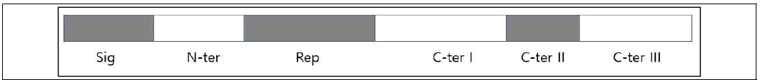 Typical structure of LMW-GS . Sig: signal pepetide, N-ter: N terminal domain, Rep: repetitive domain, C-ter: C terminal domain