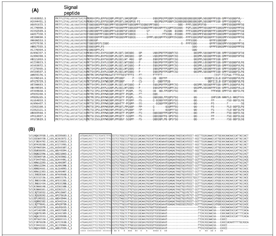 Representative conserved sequences of 700 selected LMW-GS genes that are suit to design primer pairs. (A): Signal peptide sequences, (B): DNA sequences for signal peptides