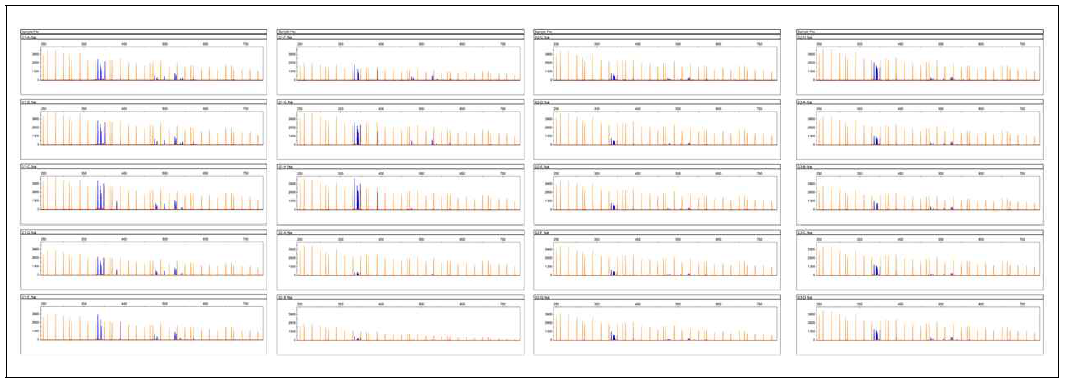 High resolution capillary electrophoresis systems to analyze various lengths of PCR products of LMW-GSs