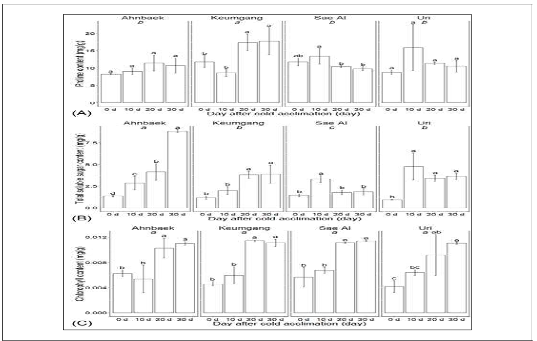 Observation of changes in (A) Total chlorophyll content, (B) Free proline content, and (C) Total soluble sugar content in the shoots of four wheat cultivars. Error bars represent the standard deviation and the letters above each bar indicate significant differences for each condition among the days after cold acclimation (one-way-ANOVA, p<0.05). The italic letters indicate statistically differences between the cultivars (two-way-ANOVA, Duncan’s post-hoc test, p<0.05)