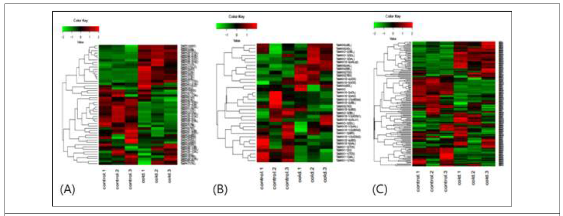 Gene expression of (A) MAPK, (B) MPKK, (C) MP3K genes of wheat under normal and cold-treated conditions