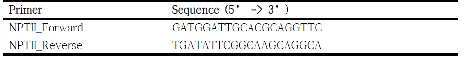 The expression cassette specific primers to screen transgenic plants