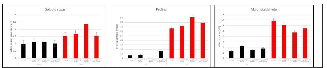 Changes of soluble sugar, proline and malondialdehyde contents under drought treatment. Black bars show “control” plants and red bars indicate “treated” plants under complex stress