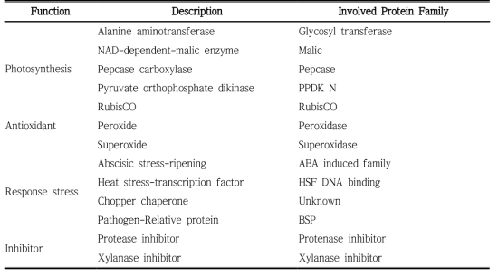 Information of the genes used for RT-PCR in this study