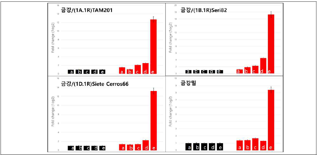 Expression of the photosynthesis-related genes. Black boxes show “control” plants and red boxes show “treated” plants under drought stress. Each bar show relative expression of alanine aminotransferase (a), NAD-dependent-malic enzyme (b), pepcase carboxylase (c), pyruvate orthophosphate dikinase (d) and rubisCO (e)