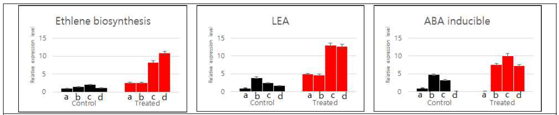 Expression of the hormone signaling and protection factor related genes. Black boxes show “control” plants and red boxes show “treated” plants under stress. (a) 금강, (b) 금강 /Seri82(1B.1R), (c) 금강/TAM201(1A.1R), (d) 금강/Siete Cerros66 (1D.1R)