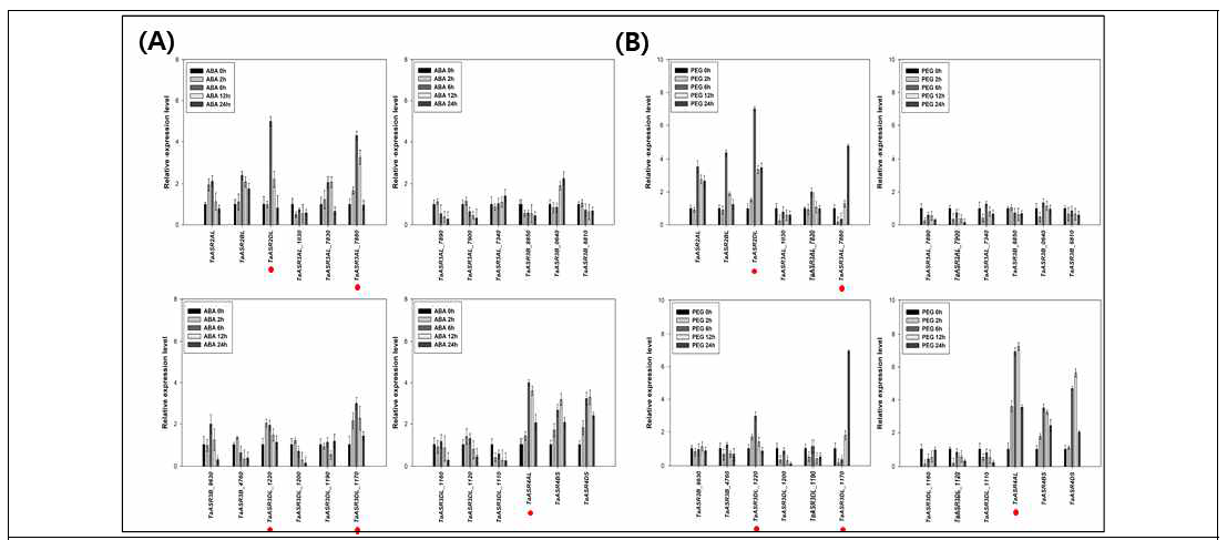 Expression profiles of TaASR genes under PEG and ABA treatment via real-time PCR. (A) 100μM ABA (B) 25% PEG6000 treatment