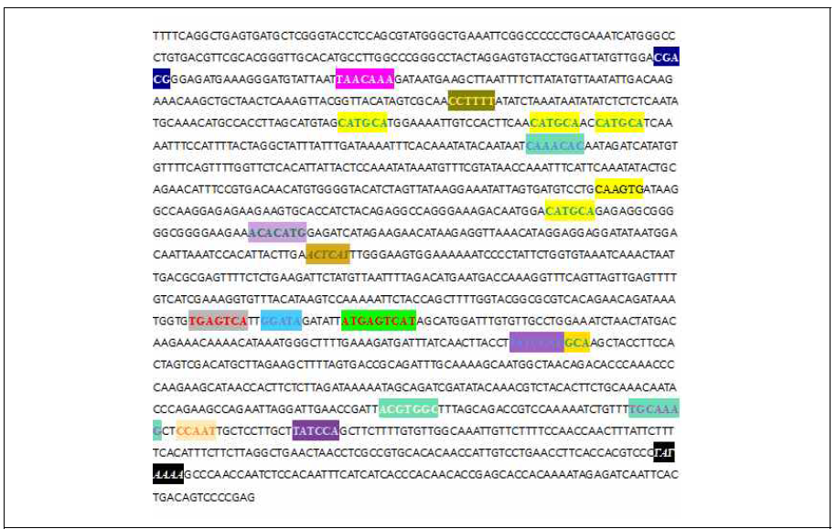 Analysis of motifs in ‘Keumgang’1D glutenin gene (TraesCS1D02G317301) promoter. Motifs are marked in different colors