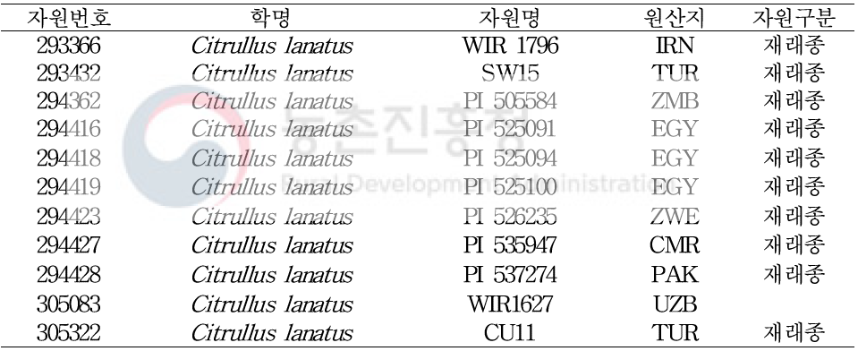 수박 흰가루병 생물검정, 분자표지 분석 결과 저항성 자원