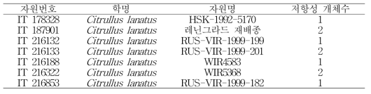 저항성(발병도 0)개체 보유자원