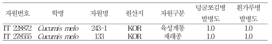 멜론 흰가루병, 덩굴쪼김병 복합 저항성 자원