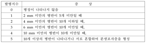 고추 탄저병 무상처 접종 발병지수