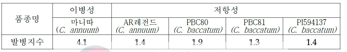 고추 탄저병 대조 품종 분무 접종 결과