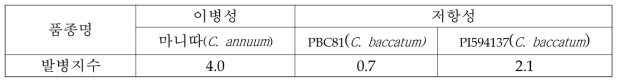 고추 탄저병 대조 품종 침 접종 결과