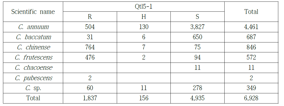 고추 역병(QTL5-1) 분자표지 분석 결과