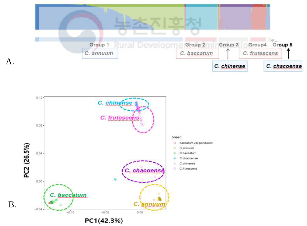 Population structure of the Pepper GWAS population, with the fastStructure program (A) and a principal component analysis (B)