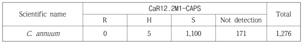 탄저병(CaR12.2M1-CAPS) 분자표지 분석 결과