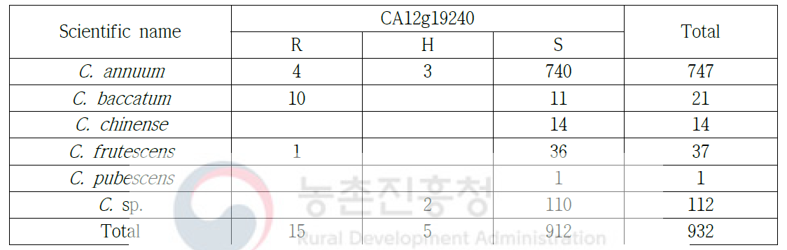 탄저병(CA12g19240-HRM) 분자표지 분석