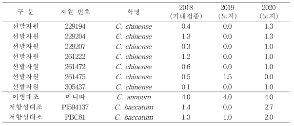 고추 탄저병(C. acutatum (C. scovillei )) 저항성 기내접종, 노지 접종을 통한 저항성 자원선발