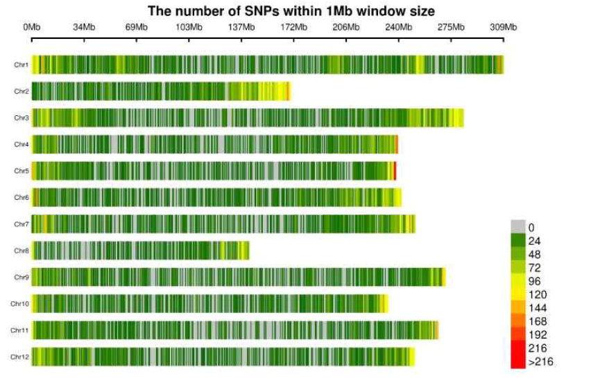 SNP density (number of SNPs per 1 Mbp), SNP density for the GWAS (core collection) digested with ApeKI