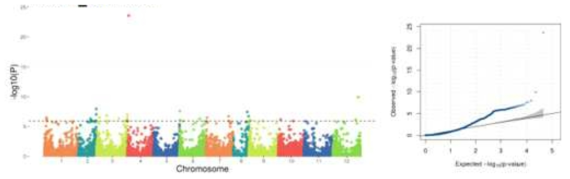 QQ and Manhattan plots, associated with Disease Index of each accession