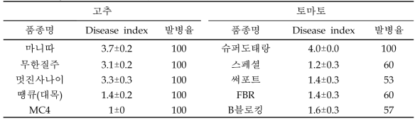 고추, 토마토 대조품종의 풋마름병 저항성 정도