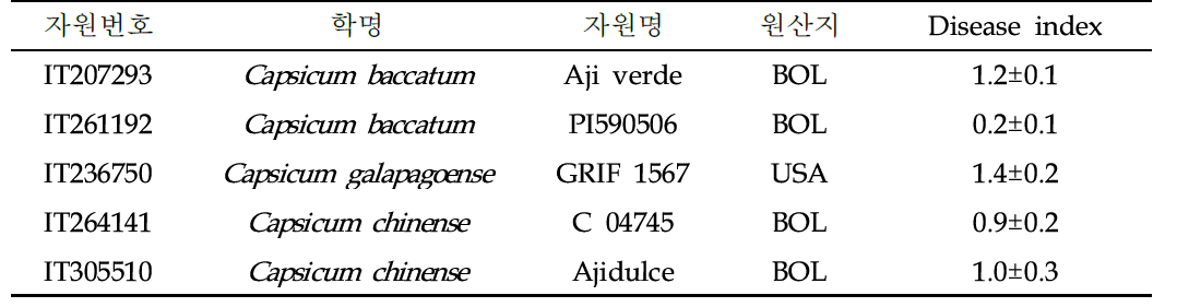 고추 풋마름병 저항성 자원의 기초정보 및 발병지수