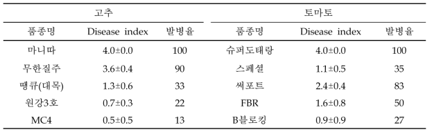 고추, 토마토 대조품종의 풋마름병 저항성 정도