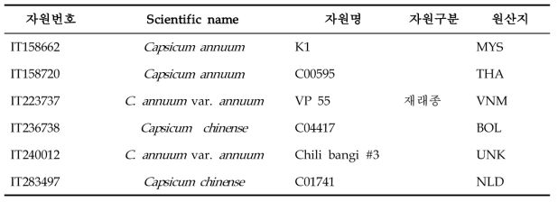 고추 풋마름병 검정 결과 발병지수 0인 자원의 기초정보