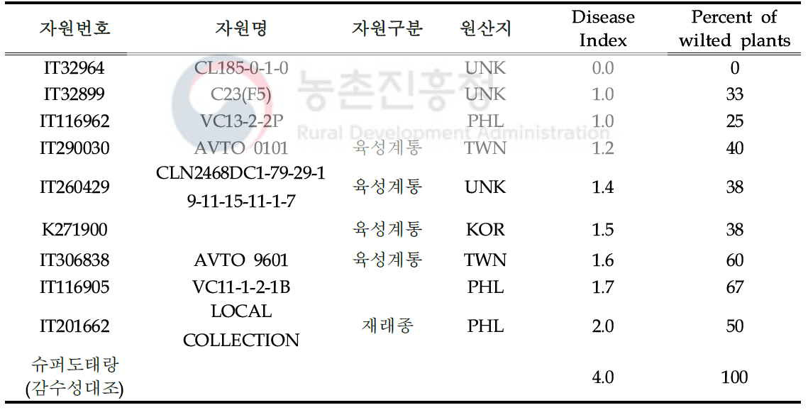 풋마름병 저항성 토마토 유전자원