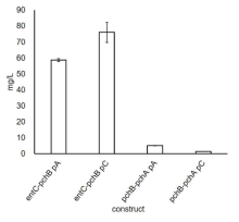 Salicylic acid 전합성