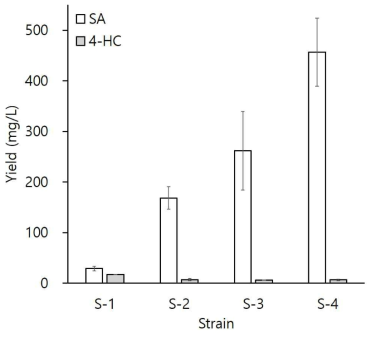 Shikimate pathway gene overexpression