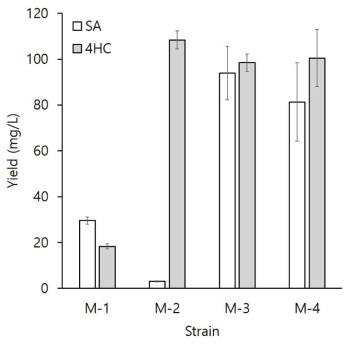 Malonyl-CoA synthesis gene overexpression