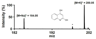 합성된 DHQ의 mass spectroscopy 분석 결과