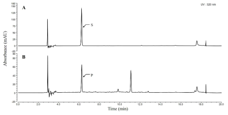 B-DHQ3을 이용한 DHQ의 합성 (S, 2,4-dihydroxyquinoline standard; P, reaction product from B-DHQ3)