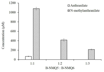 B-NMQ5와 B-NMQ6를 다양한 비율로 배양한 결과