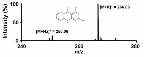 합성된 DHQ의 mass spectroscopy 분석 결과