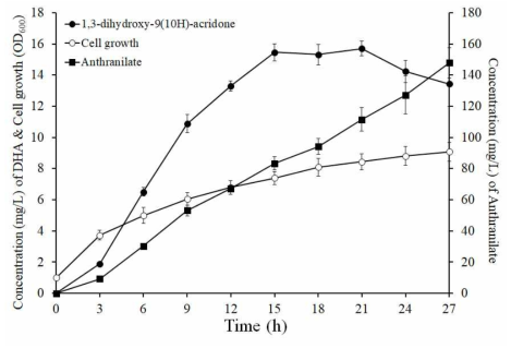 B-DHA10을 이용한 시간별 Cell concentration 과 anthranilate 및 DHA 합성량