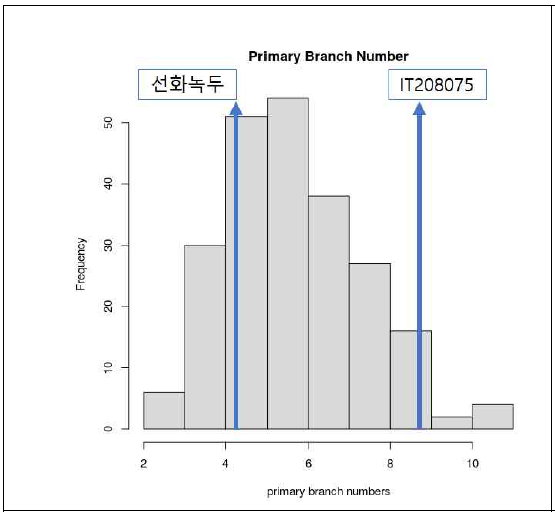 선화녹두 x IT208075 RILs 집단의 primary branch