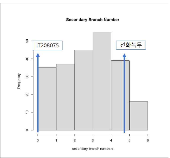 선화녹두 x IT208075 RILs 집단의 secondary branch