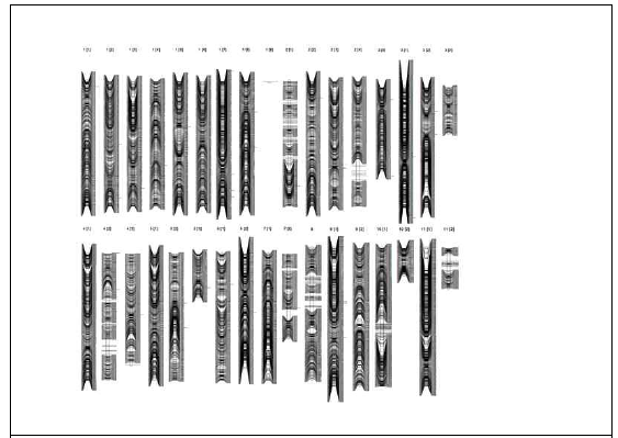 선화녹두와 경기재래5호의 genetic map