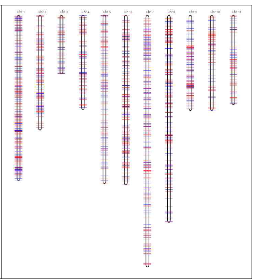 Distribution of DMR markers