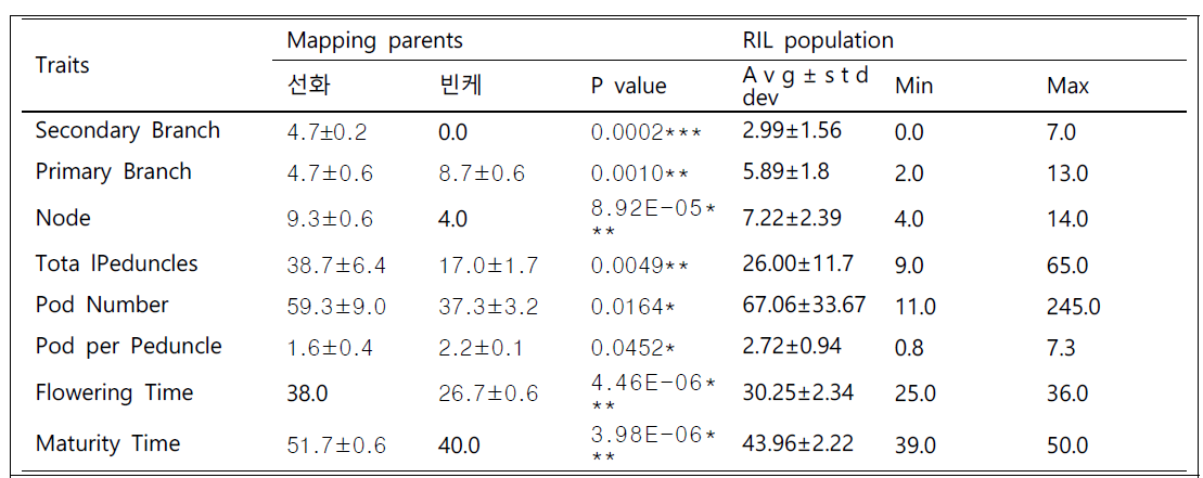 선화녹두, IT208075, RIL집단의 표현형 결과