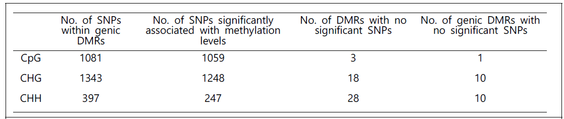 genic DMR과 SNP의 연관분석을 통한 pure genic DMR 탐색