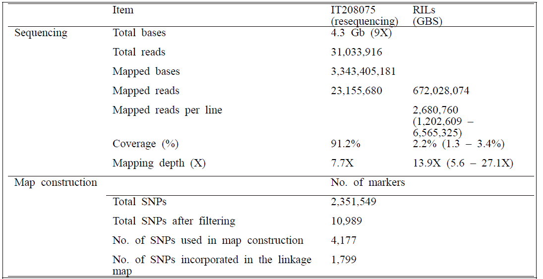 IT208075와 RIL의 genotype정보 요약